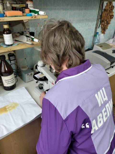 microscope
